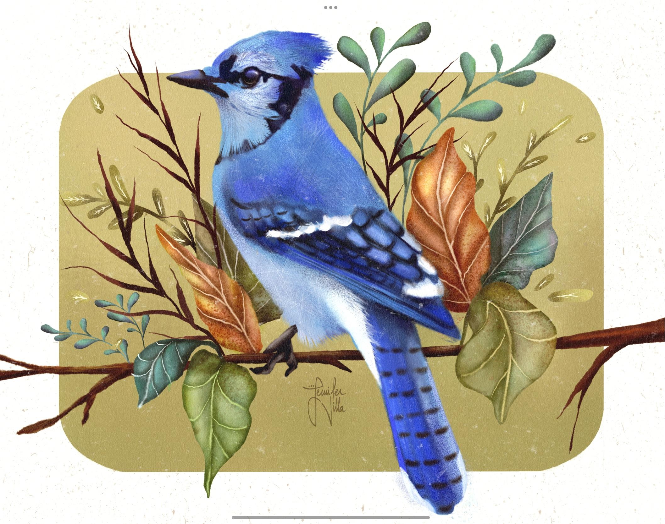 Whimsical bluejay