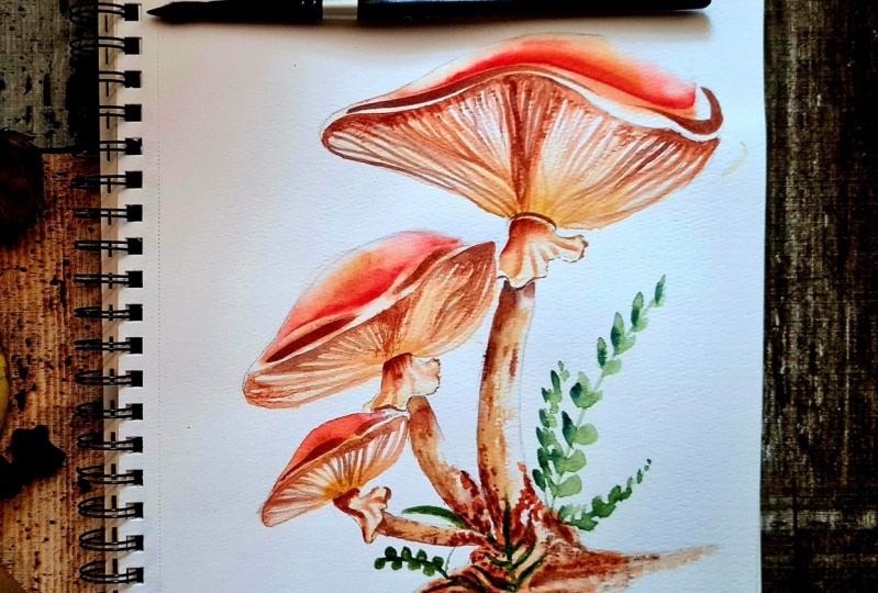 Watercolor Mushrooms