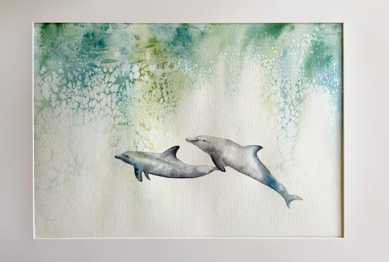 Dolphin pals