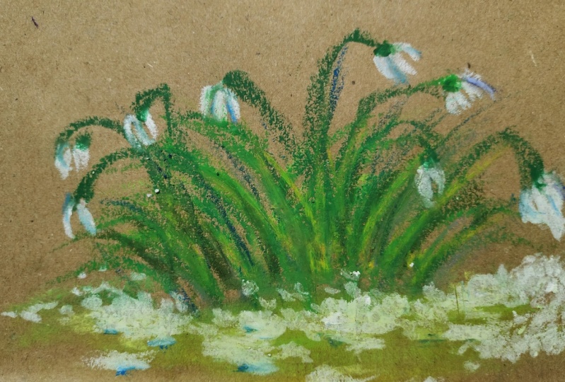 Oil Pastel Snowdrops