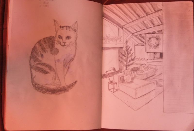 Two interiors, one cat and a dog