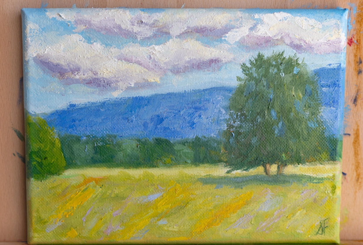 impressionist style landscape - student project