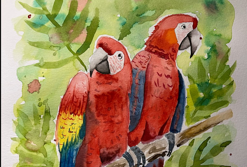 7 days watercolor challenge