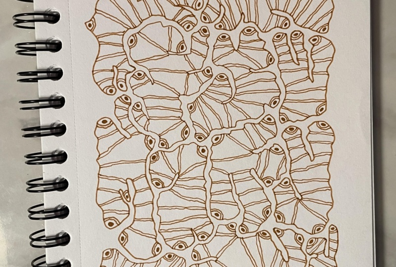 Mindful Drawing