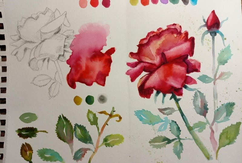 7 days watercolor challenge