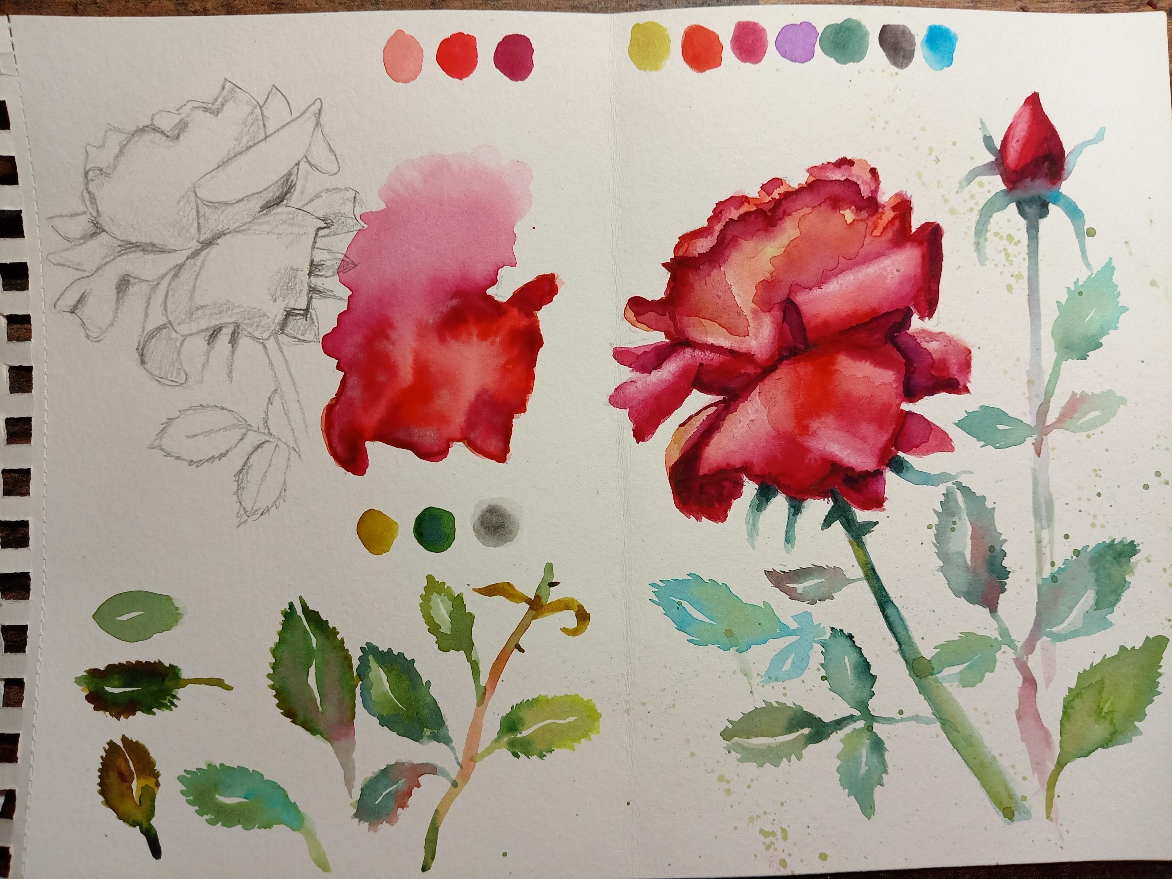 more-projects-from-class-img