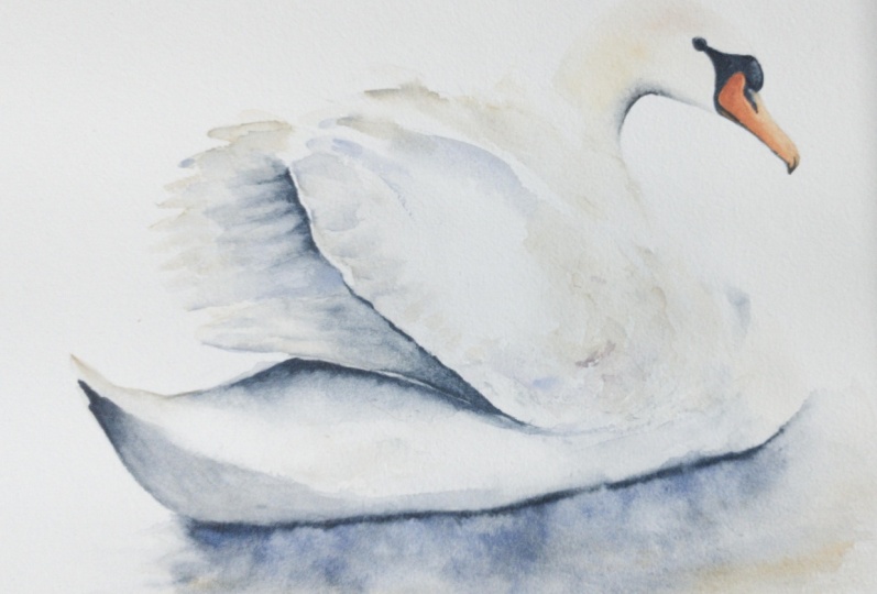 White Swan Watercolour - a class by Nadine Dudek