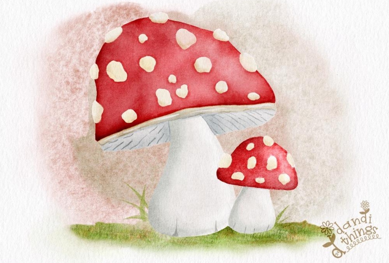 Watercolor Mushrooms - student project