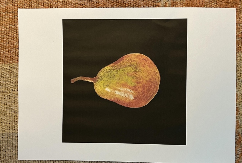 Watercolor pear