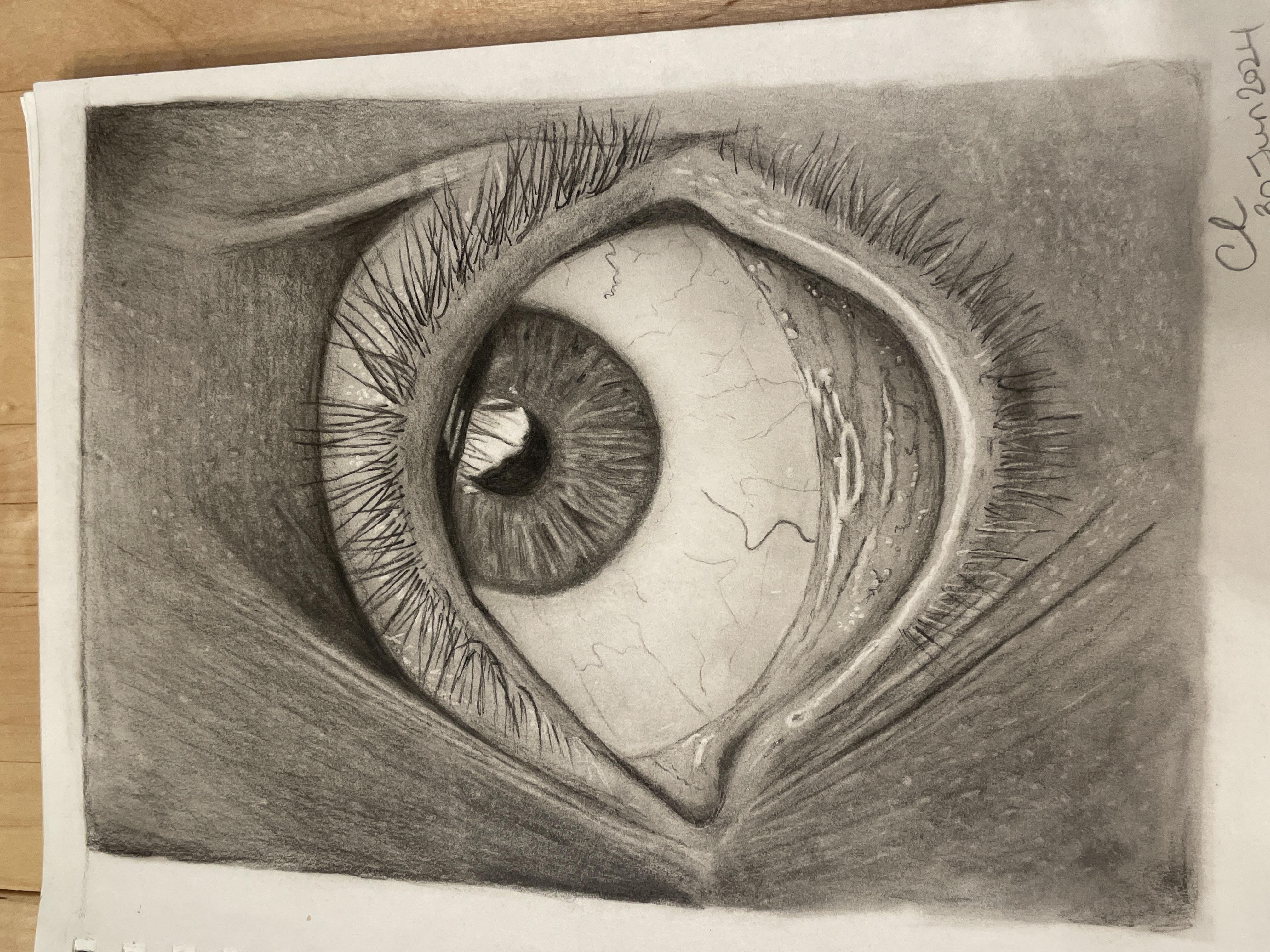 Charcoal drawing of eye - student project