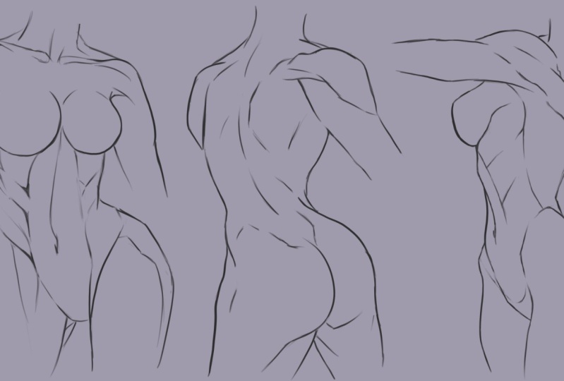 Female torso practices