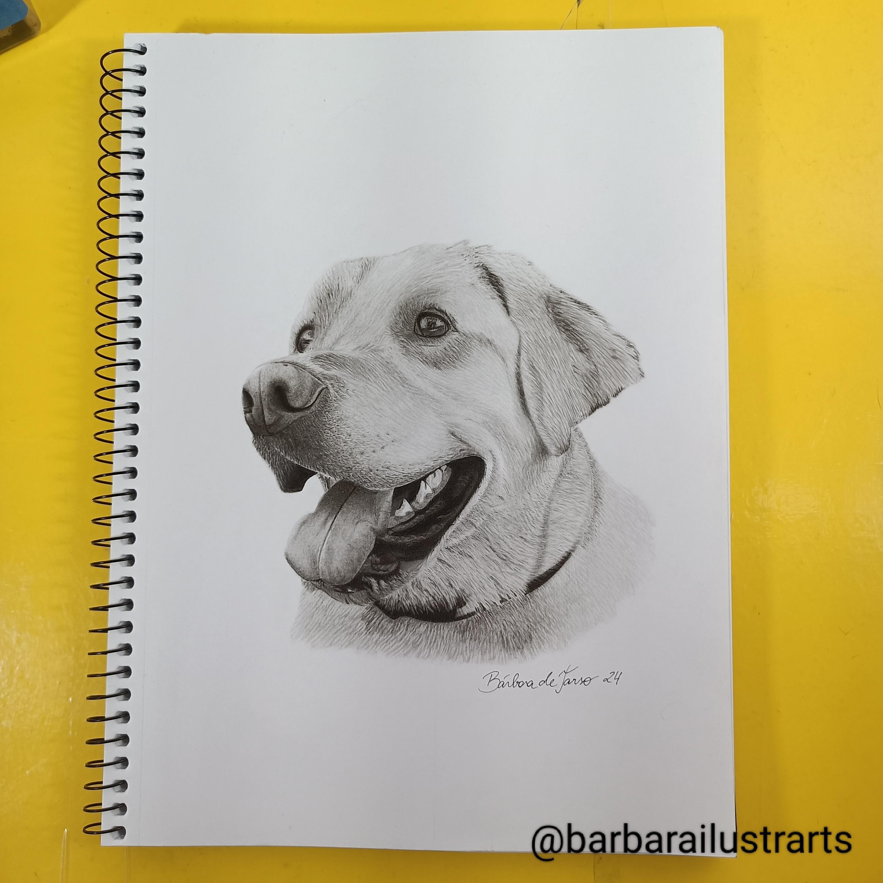 Labrador - student project