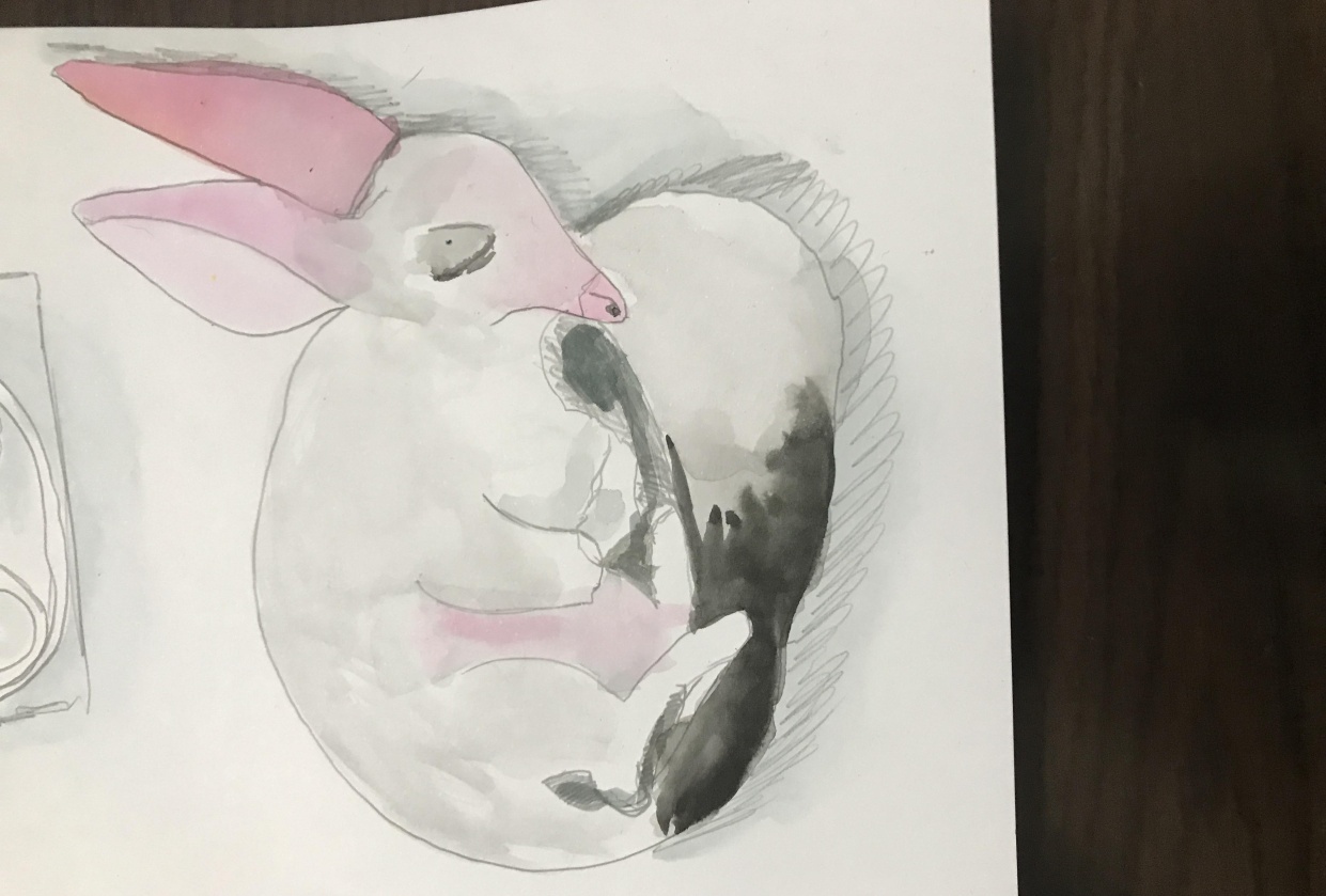 New - student project