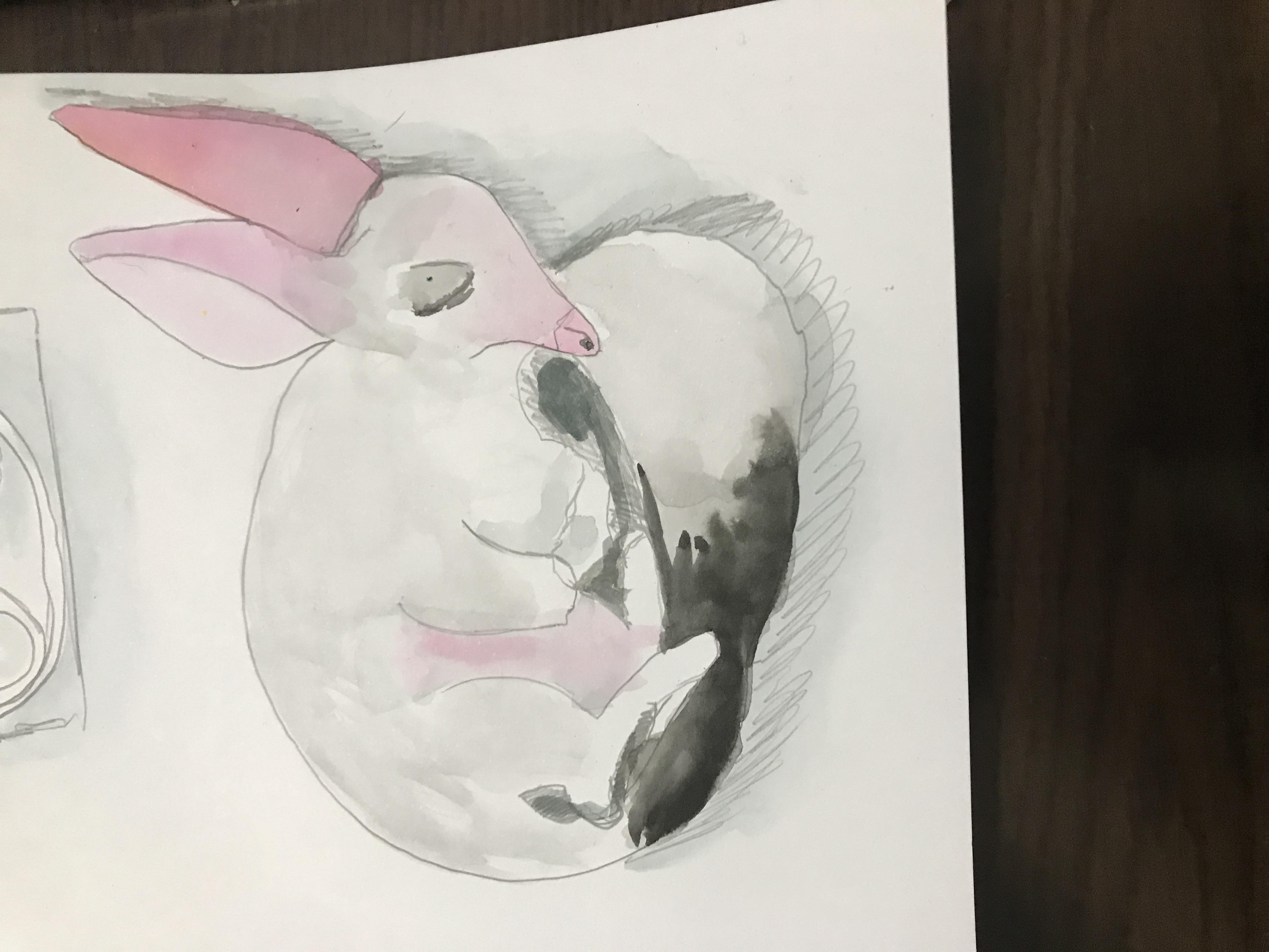 more-projects-from-class-img