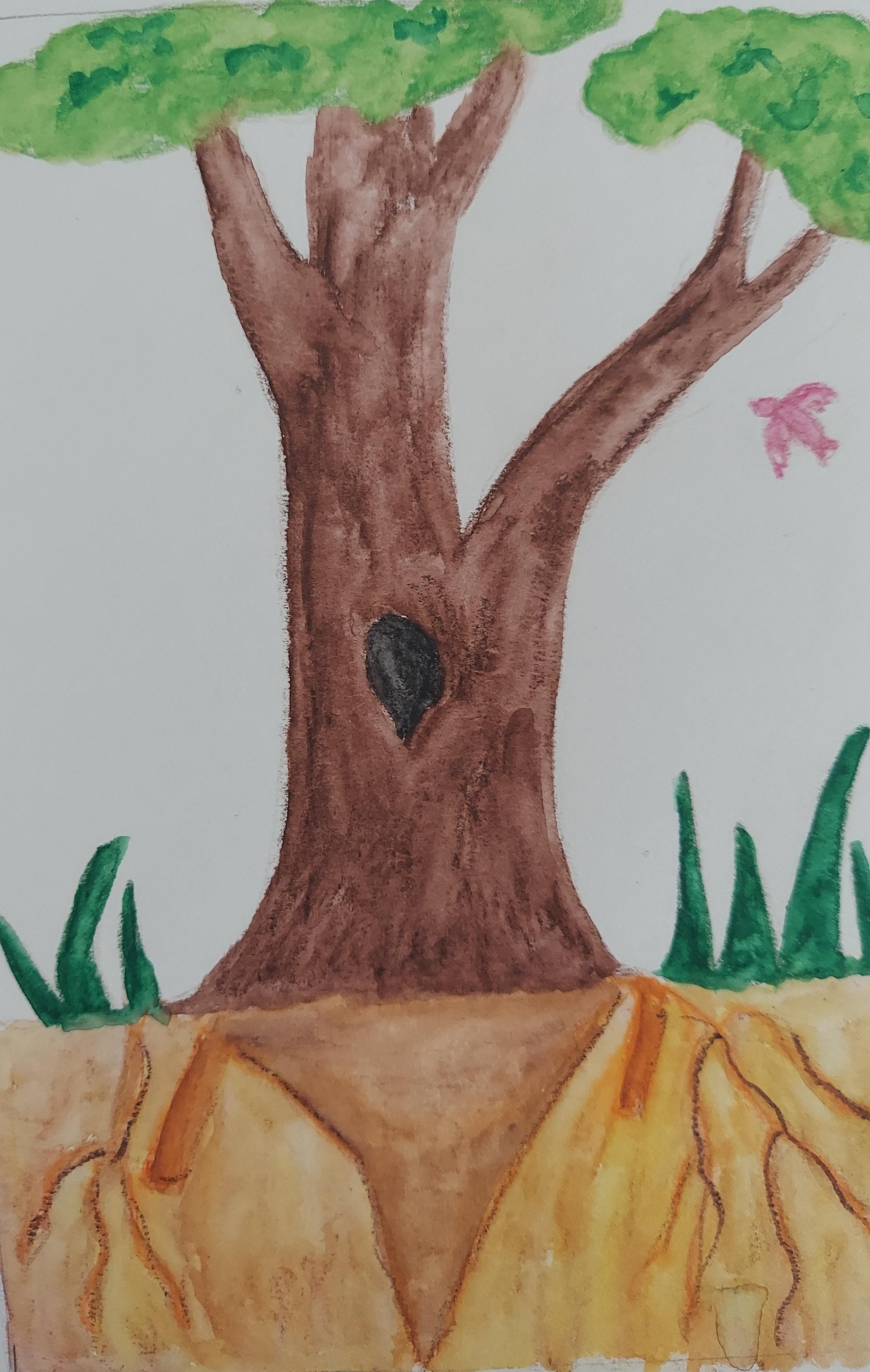 more-projects-from-class-img