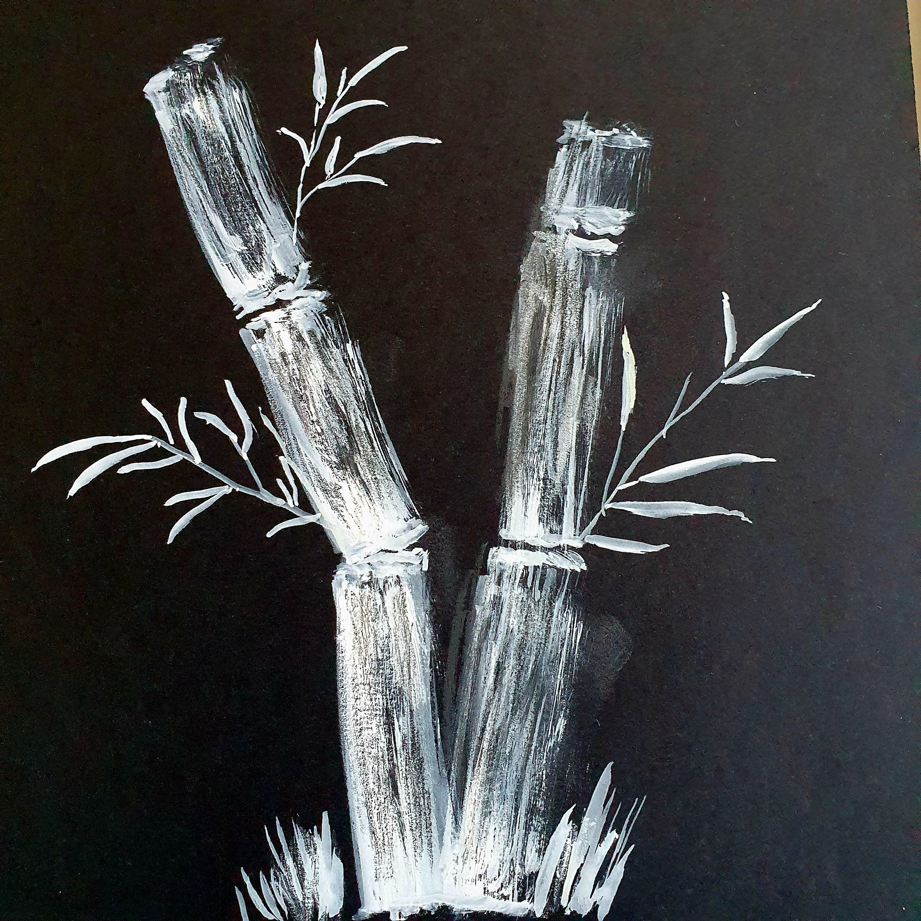 more-projects-from-class-img