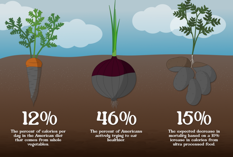 Food Infographic