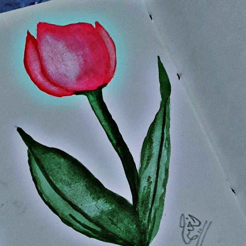 Tulip - student project