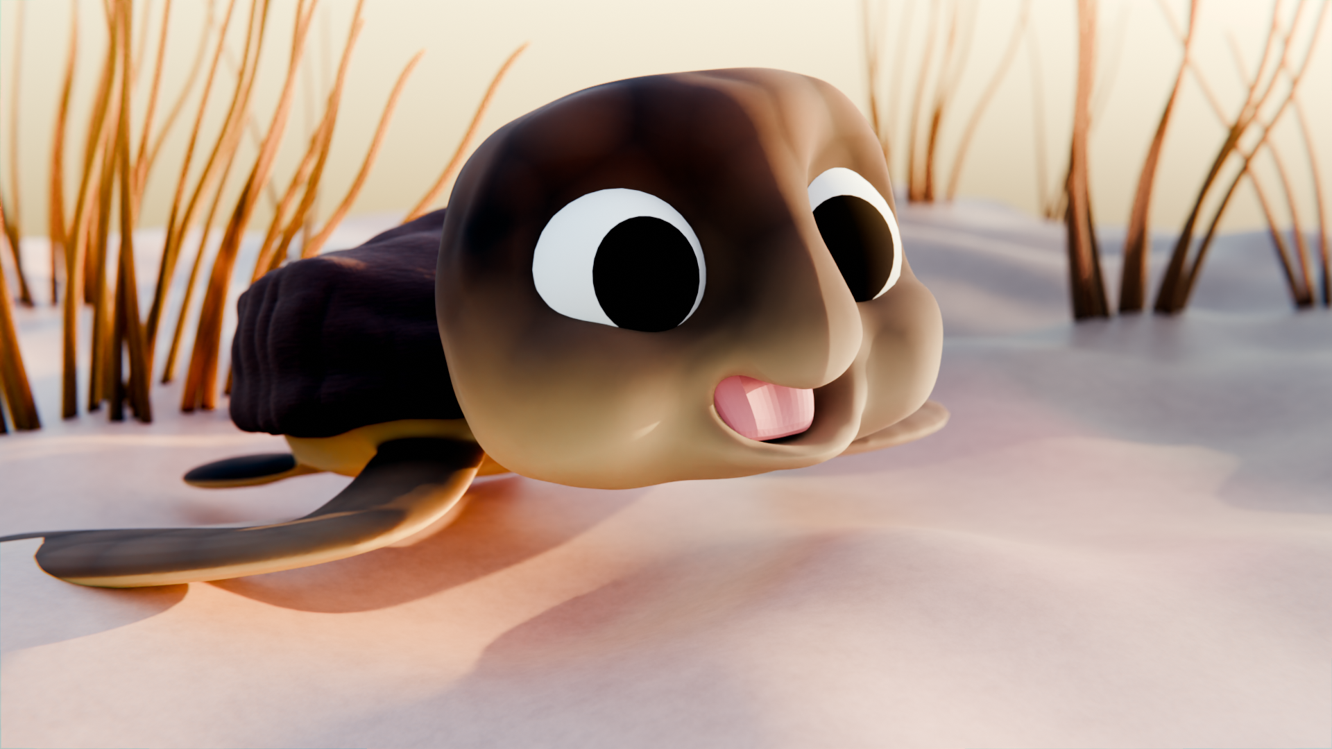 Turtlle - student project