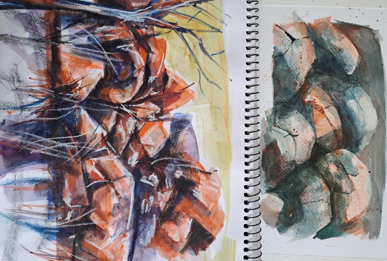 Grass and rocks - student project