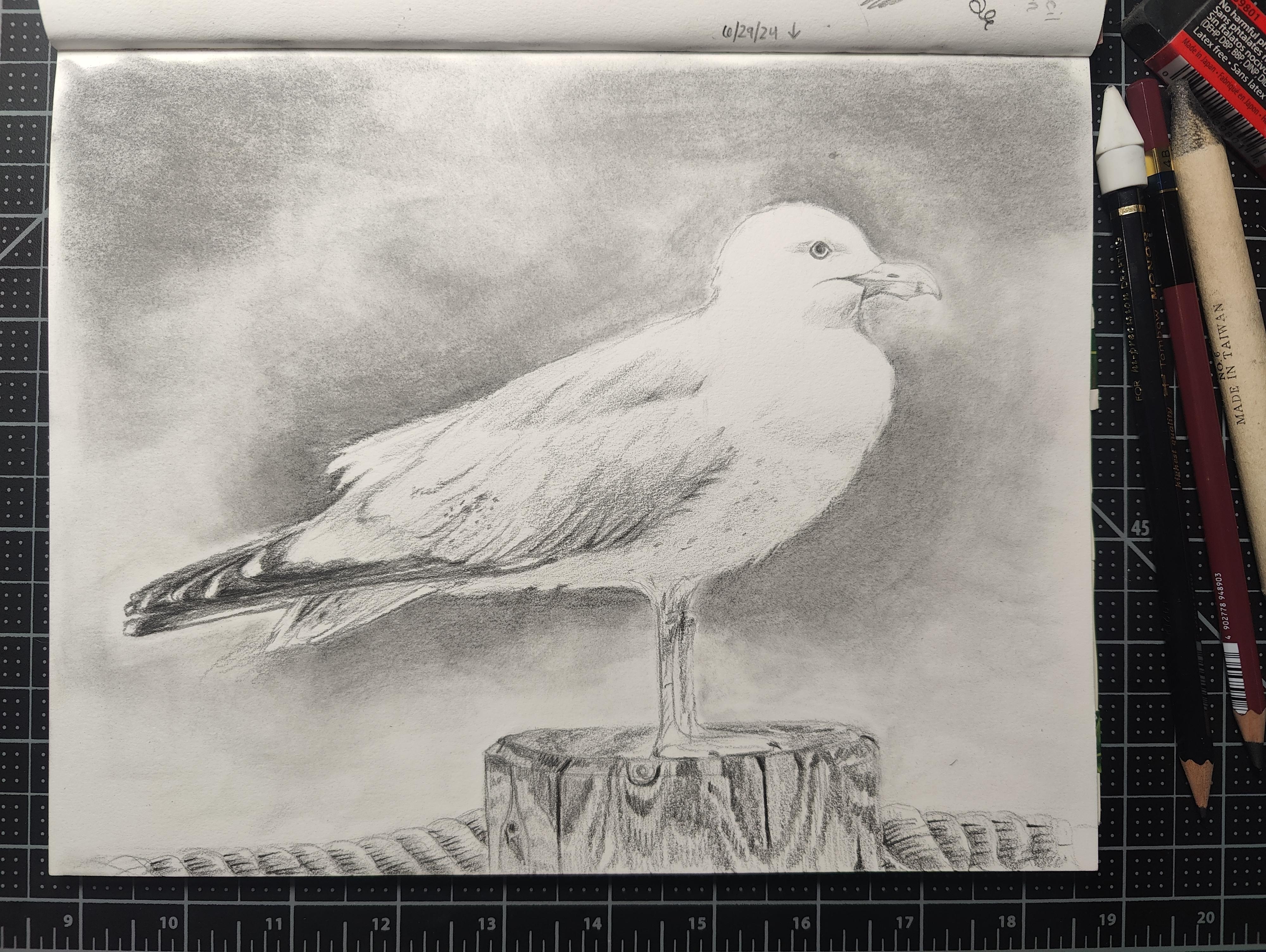 Put a bird on it :) - student project