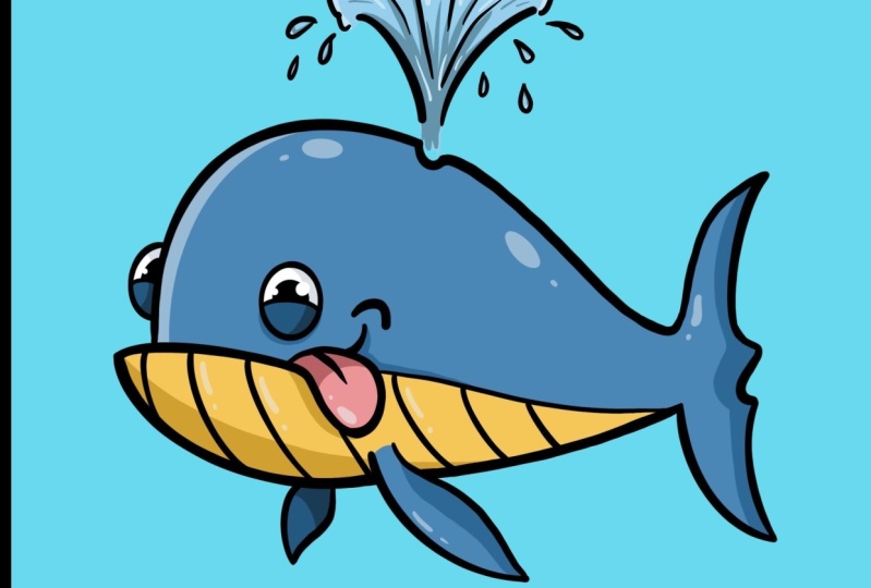 My whale