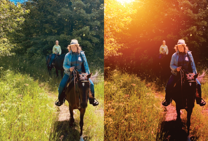 Late afternoon ride