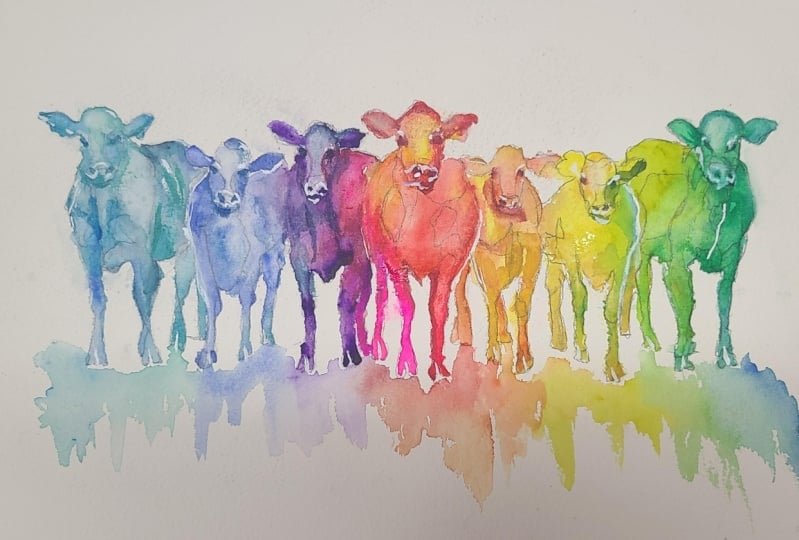 Rainbow Cows