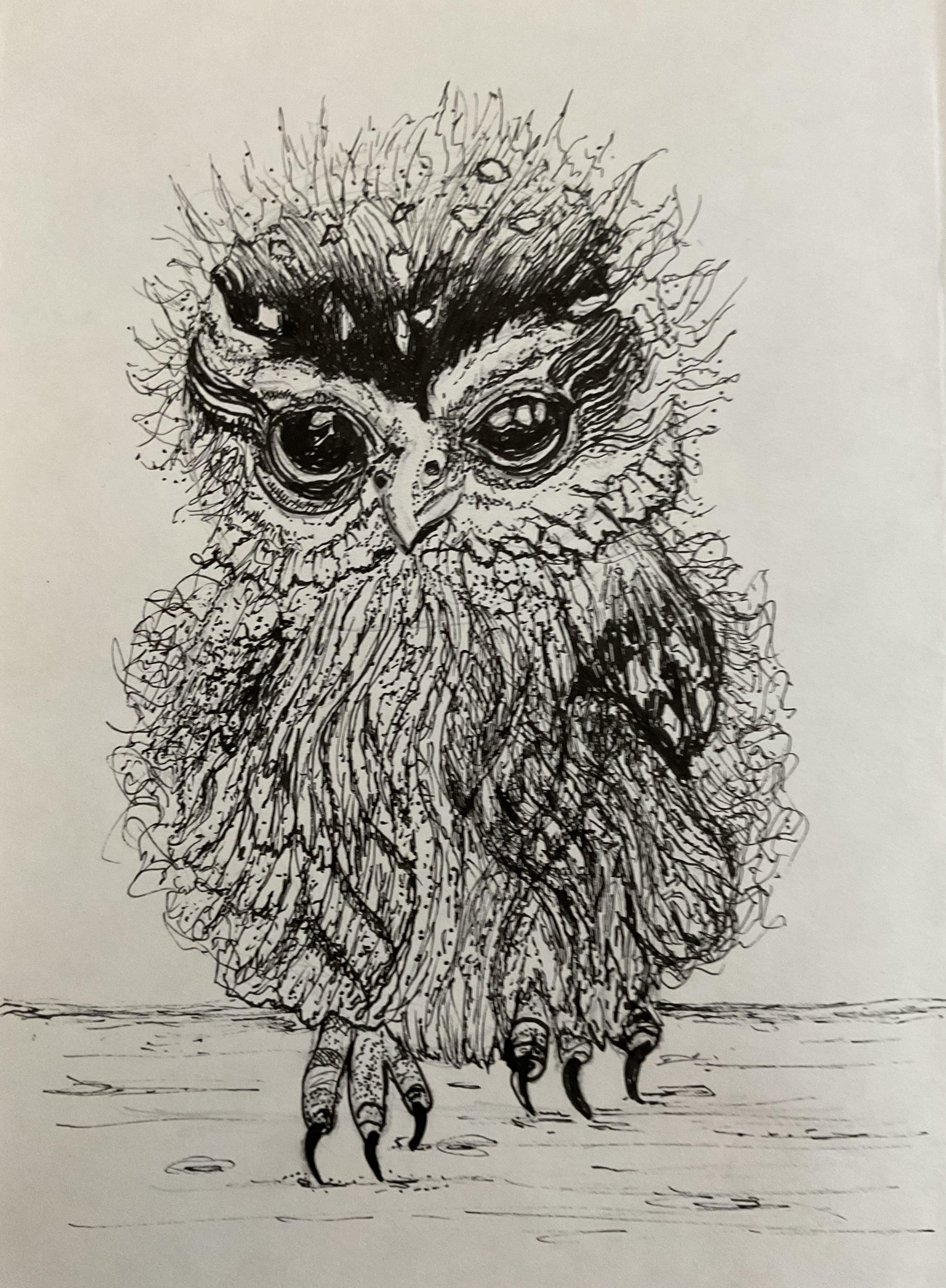 World’s Smallest Owl …Creating Animal Textures in Pen & Ink - student project
