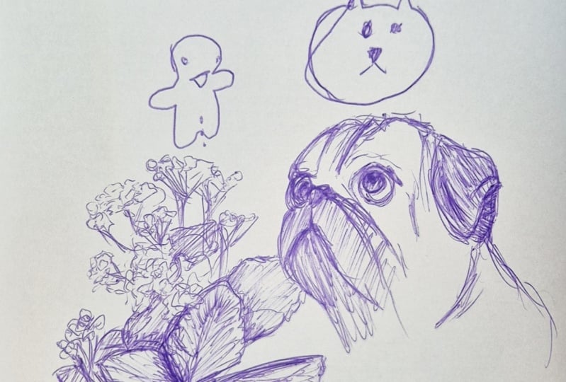 training sketches