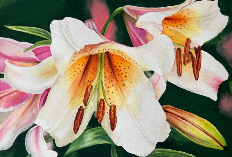 Lilies