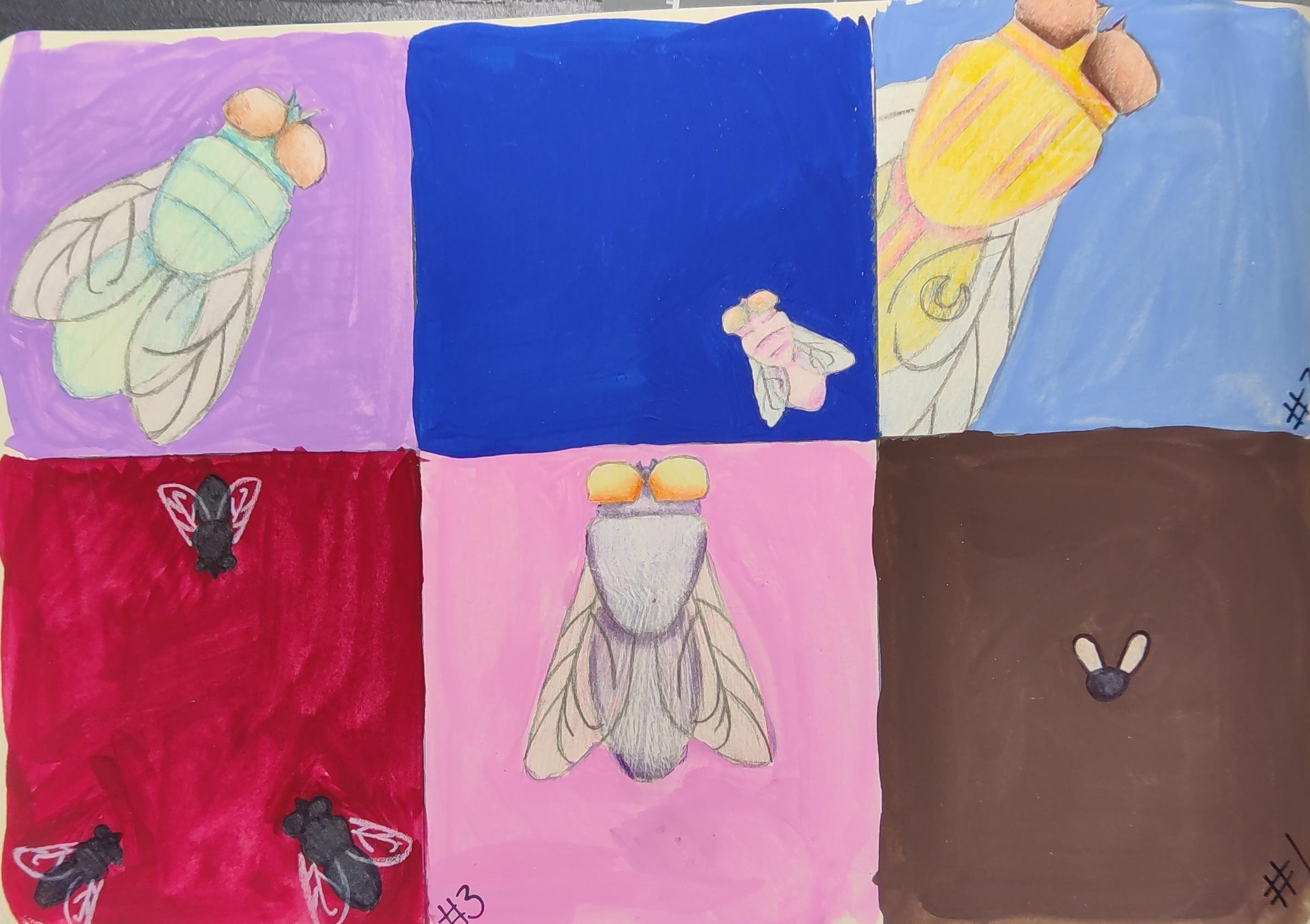 more-projects-from-class-img