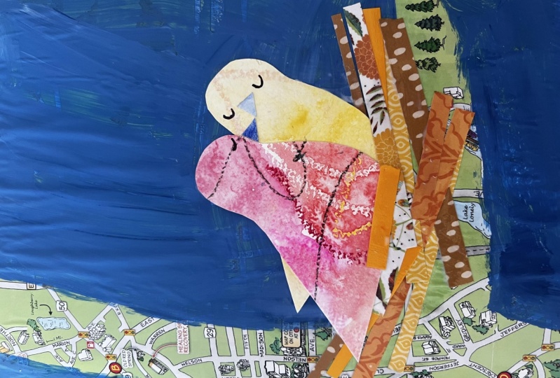 Bird journey