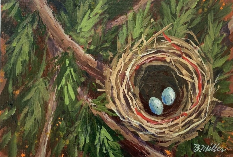 A Bird's Nest