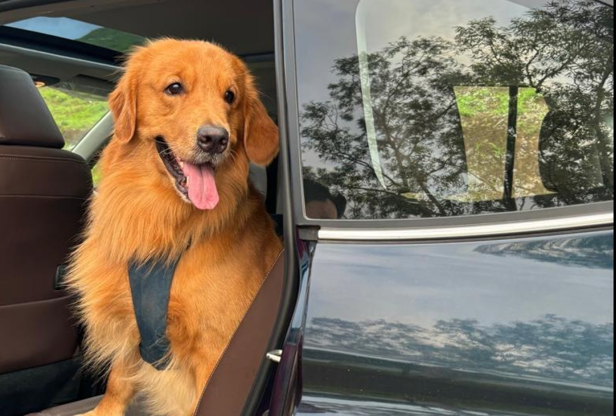Beau's Trip to Wai, Mahabaleshwar