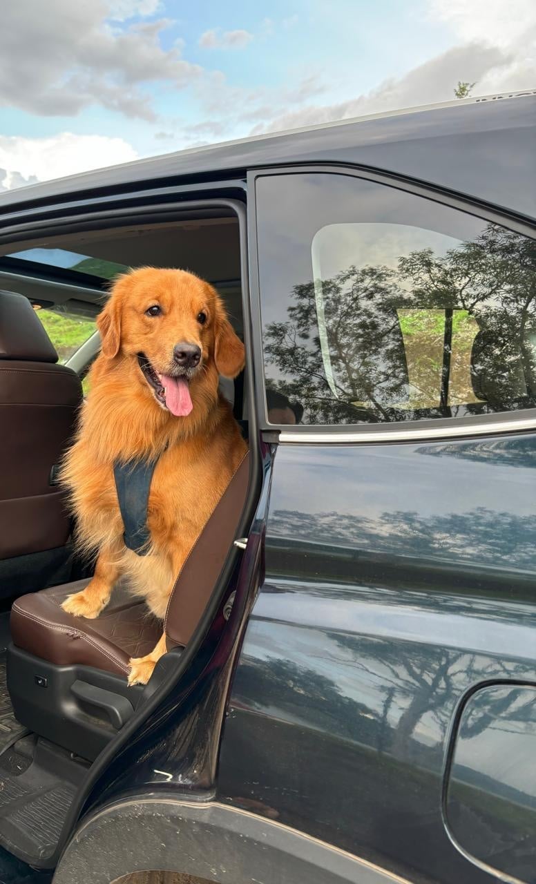 Beau's Trip to Wai, Mahabaleshwar