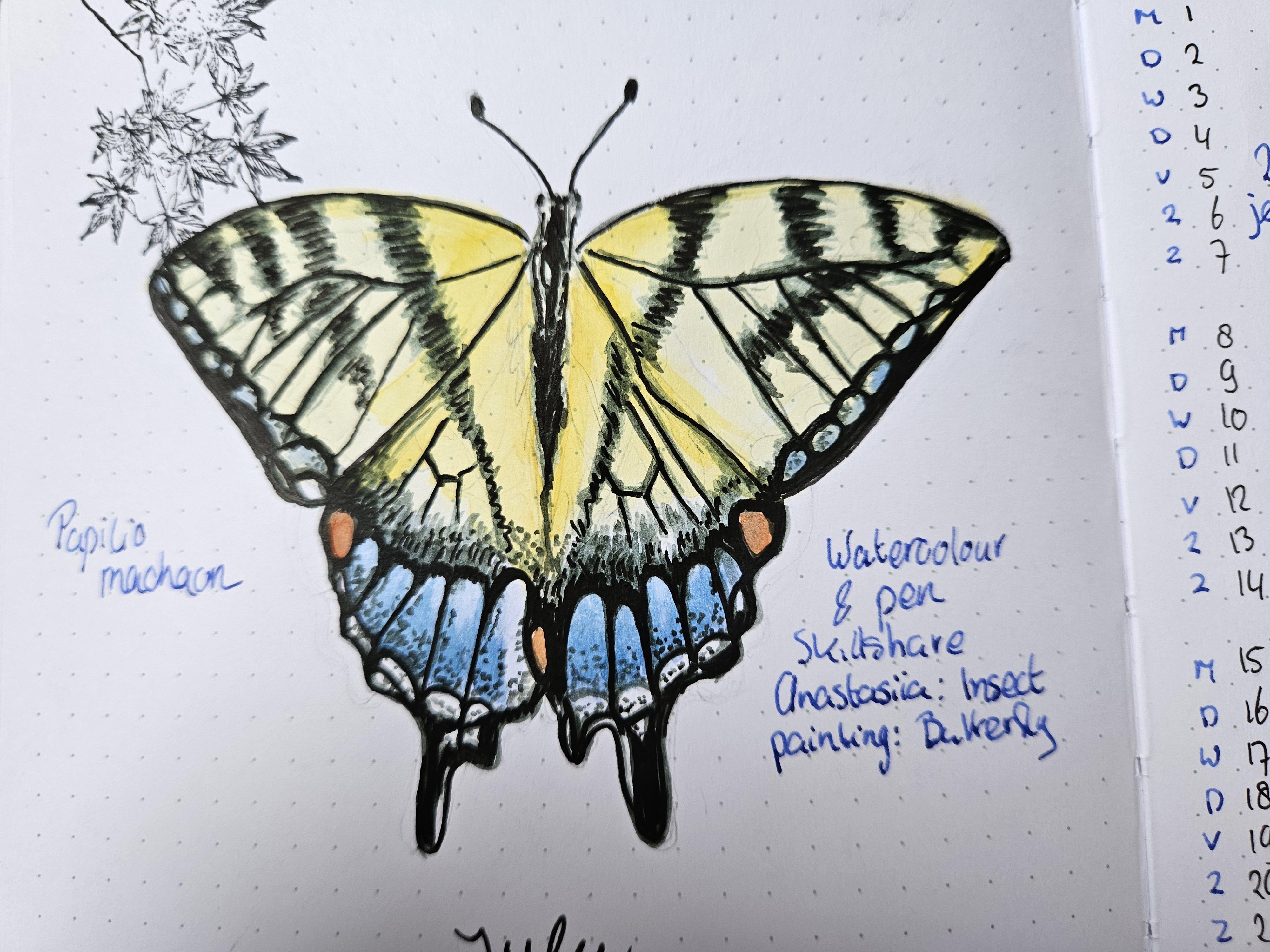 more-projects-from-class-img