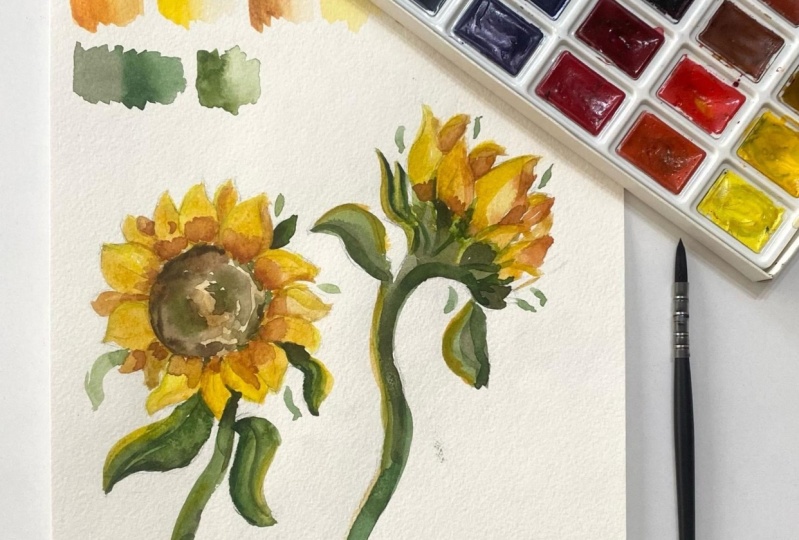 Sunflower