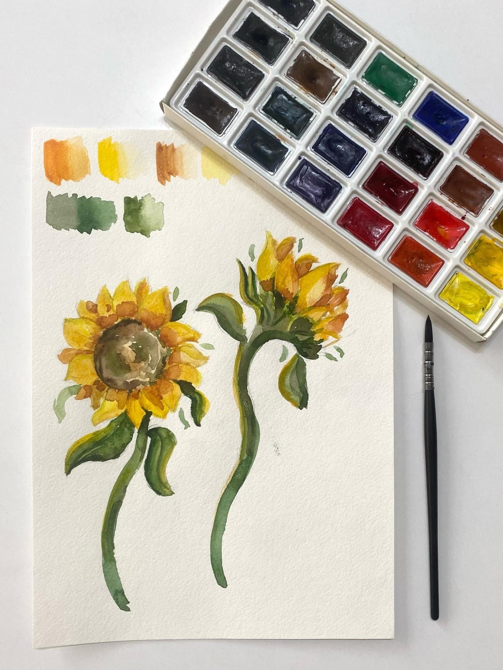 Sunflower - student project