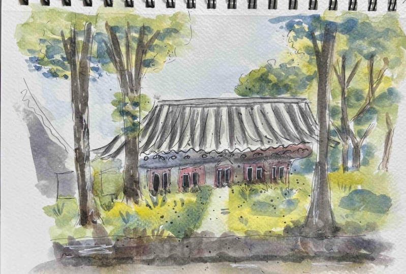 Urban Sketching Nature, Greenery and Trees