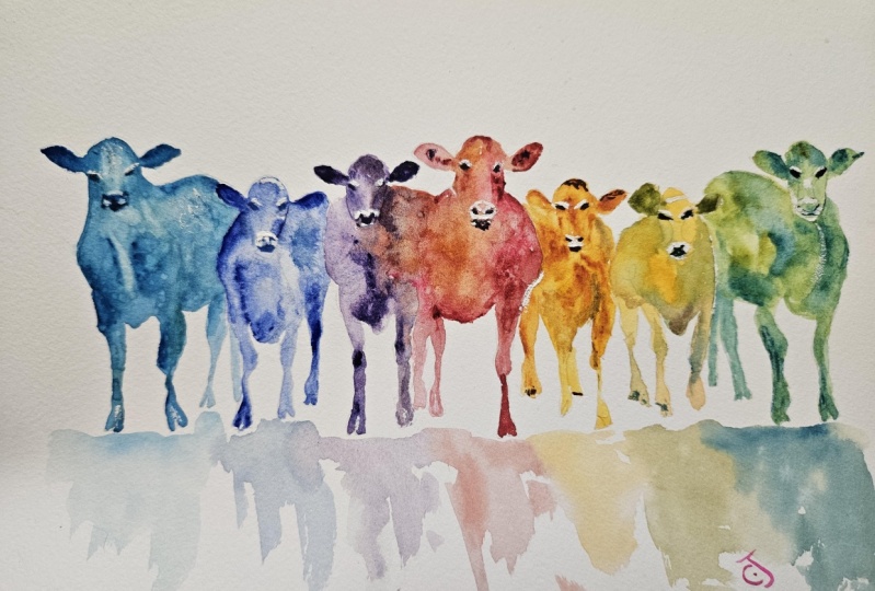 Colorful cows