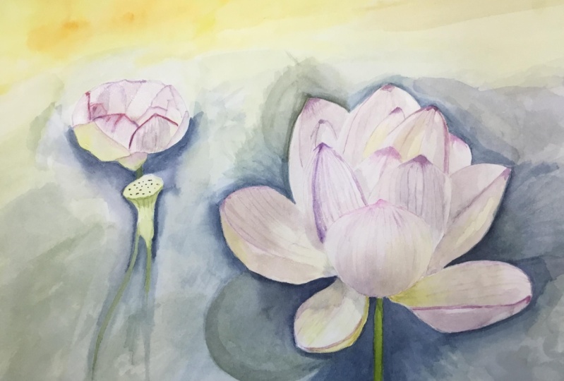 My Not White Waterlily