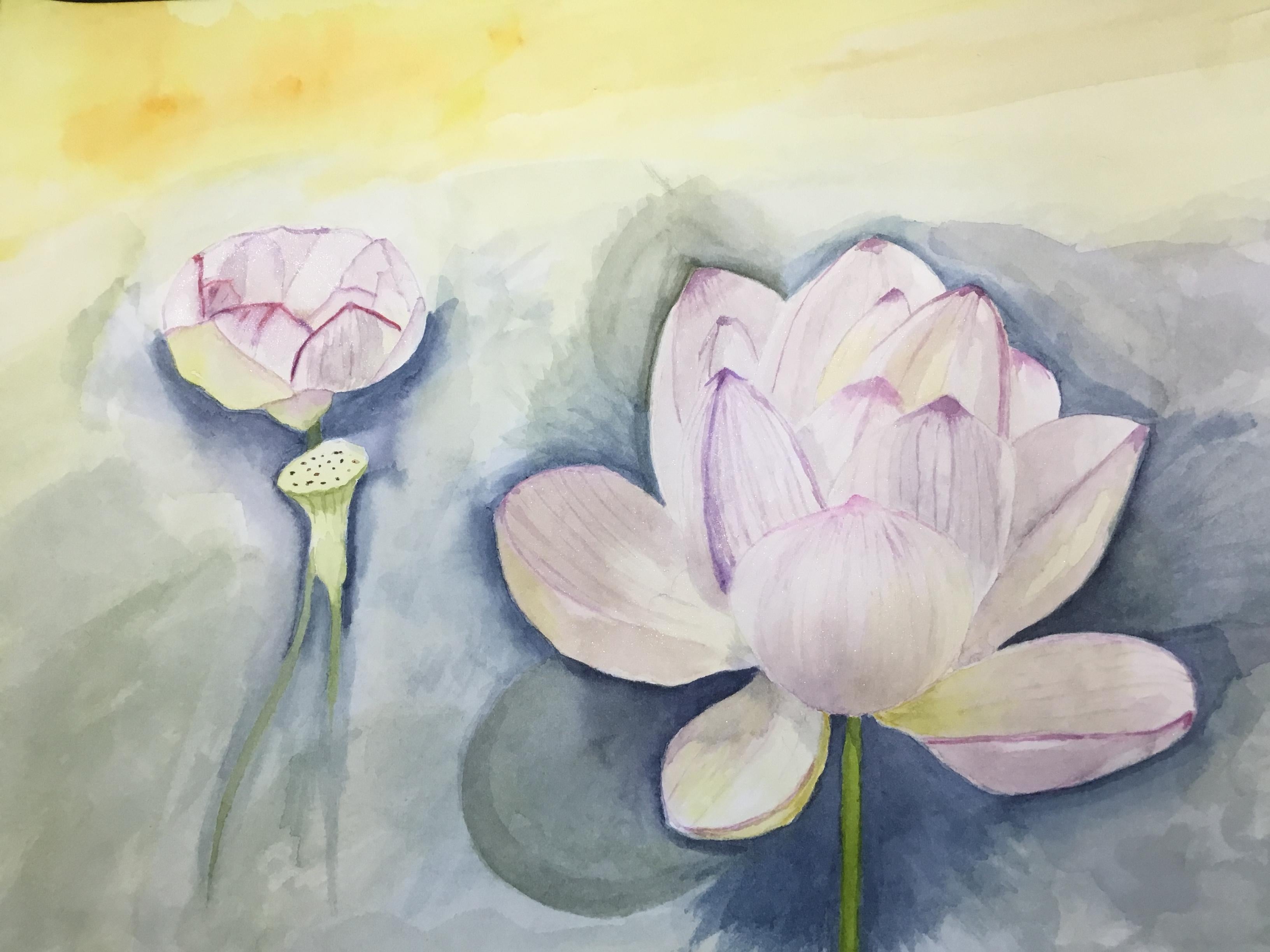 My Not White Waterlily - student project