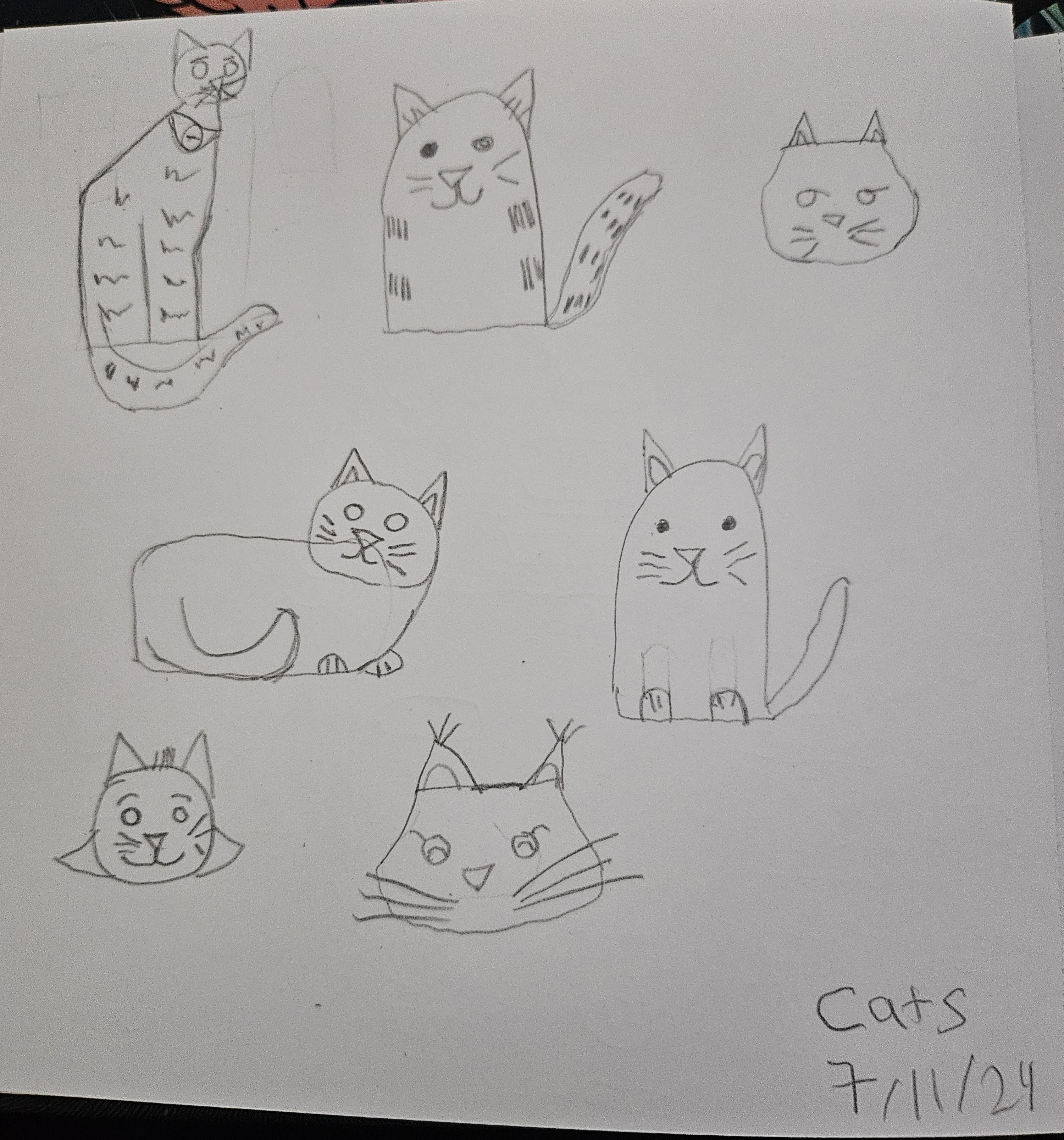 1st Cats - student project