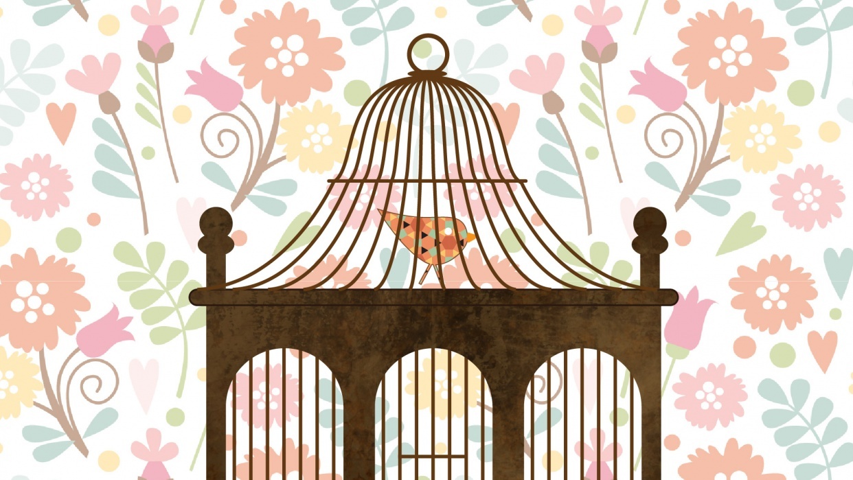 Bird Song - student project