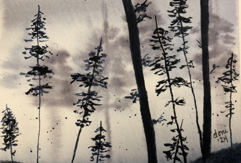 Misty Morning Trees