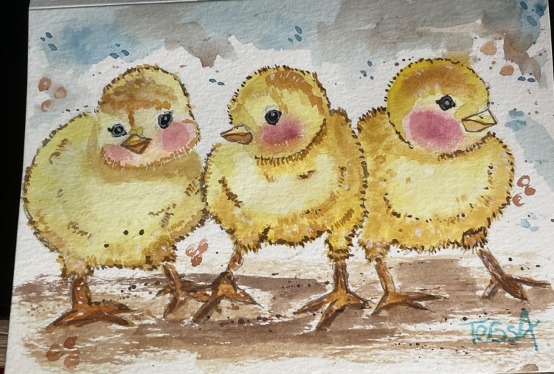 Playful chicks