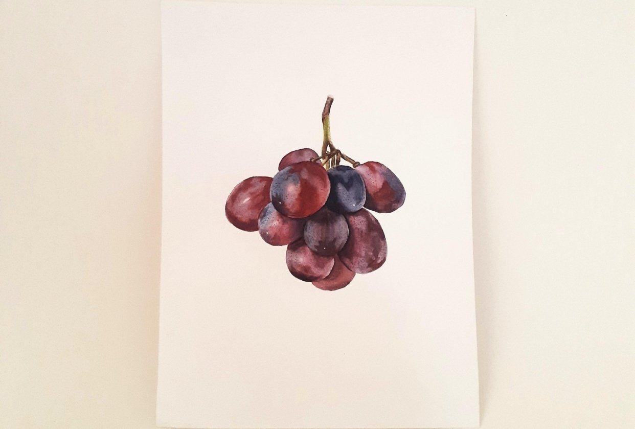 Realistic grapes - student project