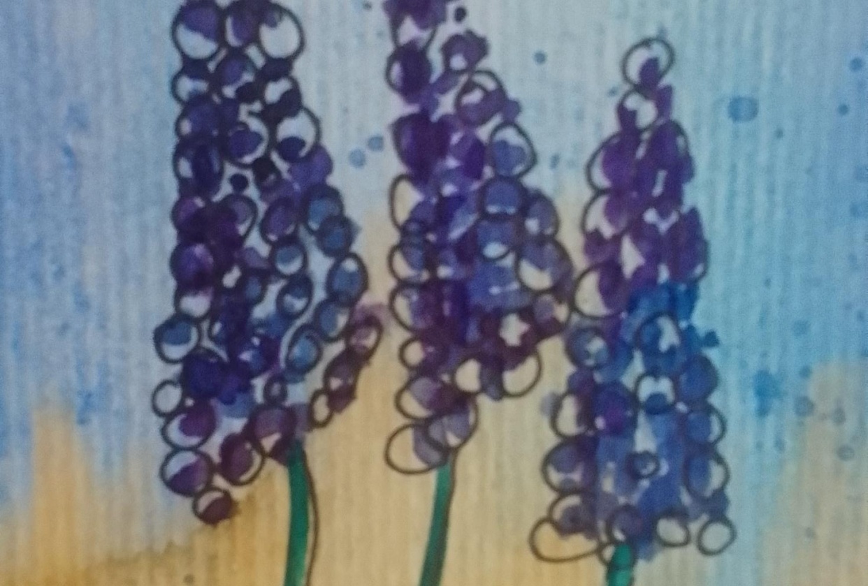 Poppies - student project