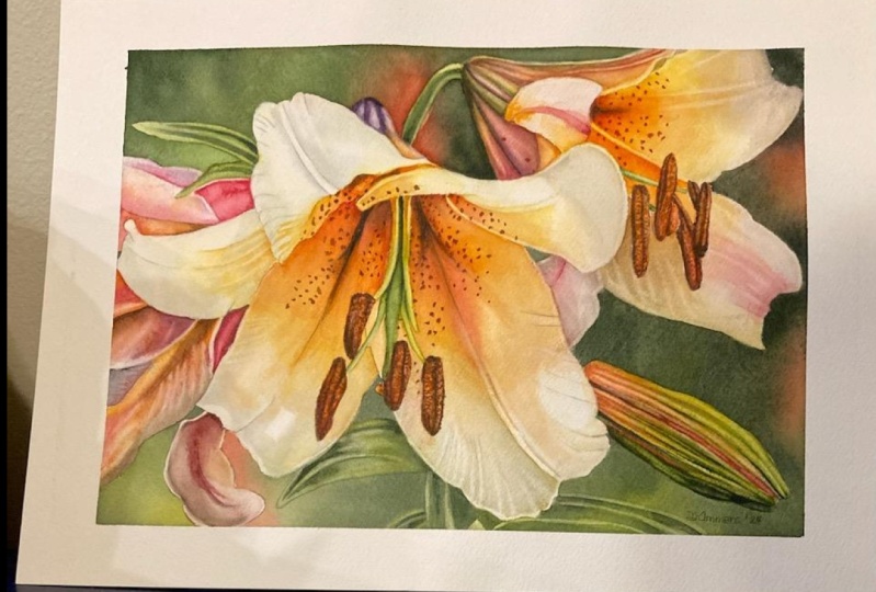 Chris' Lillies and Light